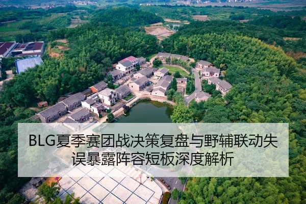 BLG夏季赛团战决策复盘与野辅联动失误暴露阵容短板深度解析